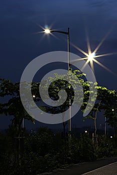 The energy-saving streetlights made by LED